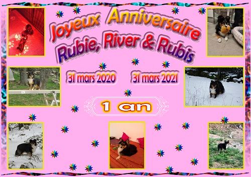 des Crocs de Provence - Joyeux Anniversaire