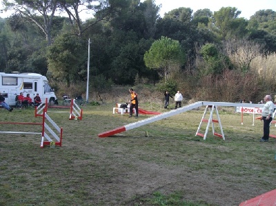 des Crocs de Provence - Concours d'agility de Marignane