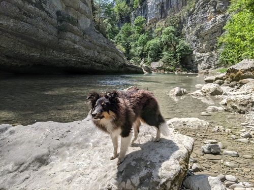 des Crocs de Provence - Des nouvelles de Super Rocky