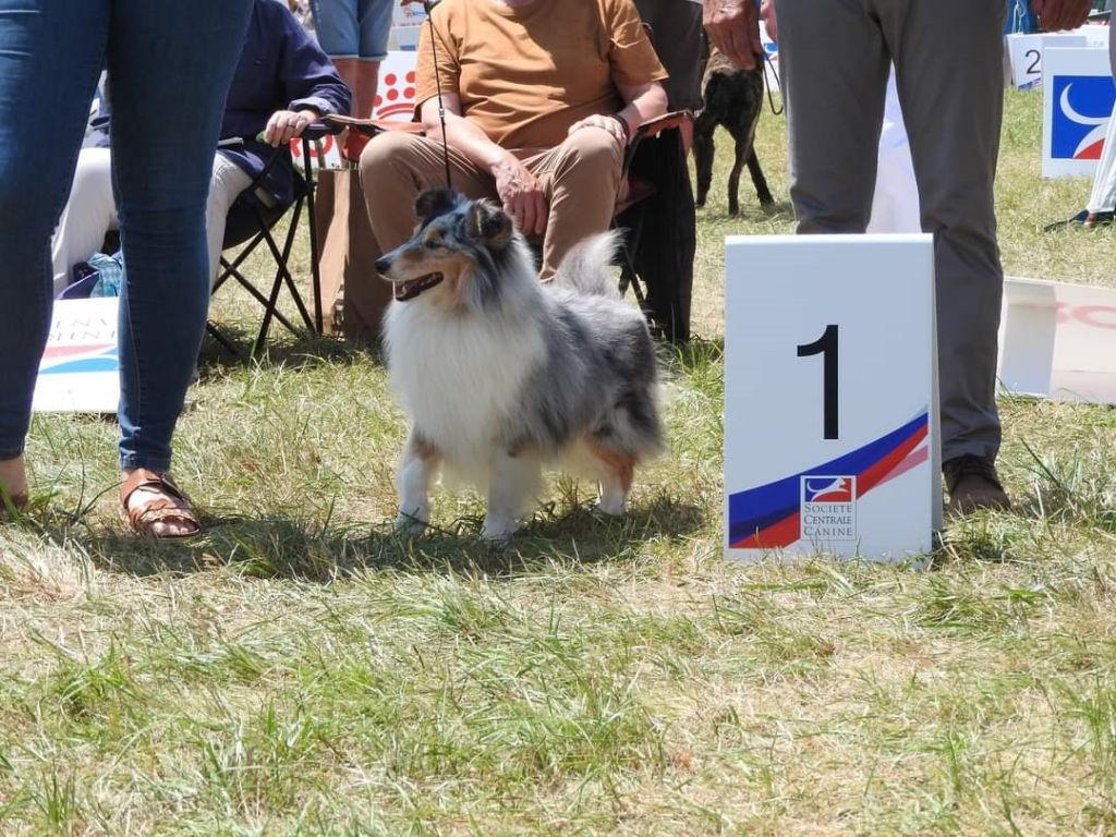 des Crocs de Provence - Championnat de France.