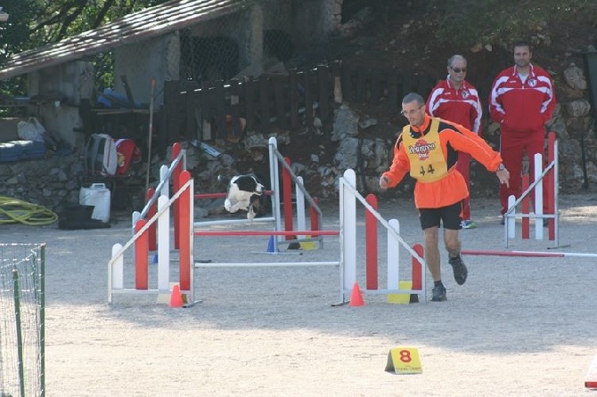 des Crocs de Provence - Concours d'agility du Chaffaut