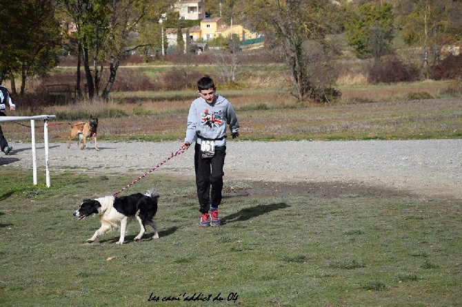 des Crocs de Provence - Cross Canin du Chaffaut