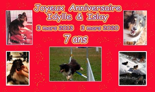 des Crocs de Provence - Joyeux Anniversaire