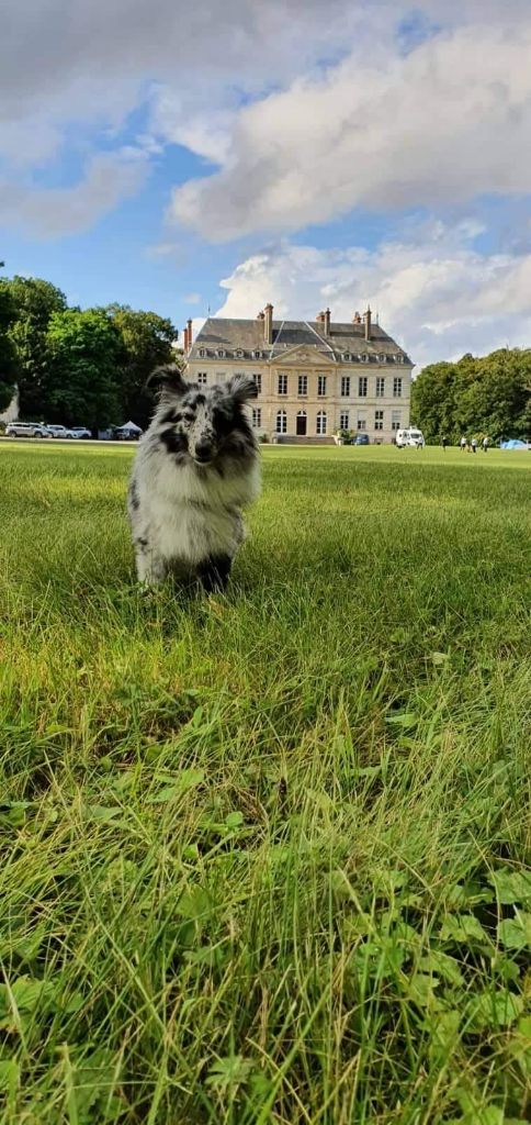 des Crocs de Provence - Des nouvelles de Rebel