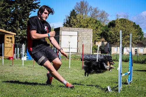 des Crocs de Provence - Concours d'agility d'Abos