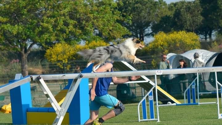 des Crocs de Provence - Championnat de France Grade 3 2022