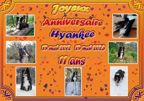 des Crocs de Provence - Joyeux Anniversaire