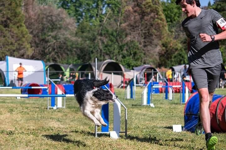 des Crocs de Provence - Concours d'agility de Jeurre