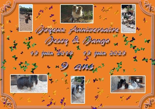 des Crocs de Provence - Joyeux Anniversaire