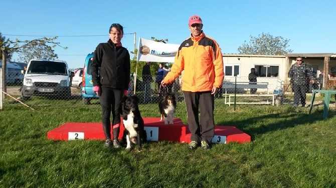 des Crocs de Provence - Un Crocs de Provence au Championnat de France d'agility