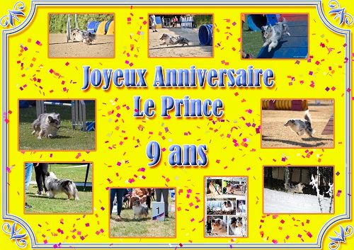 des Crocs de Provence - Joyeux Anniversaire