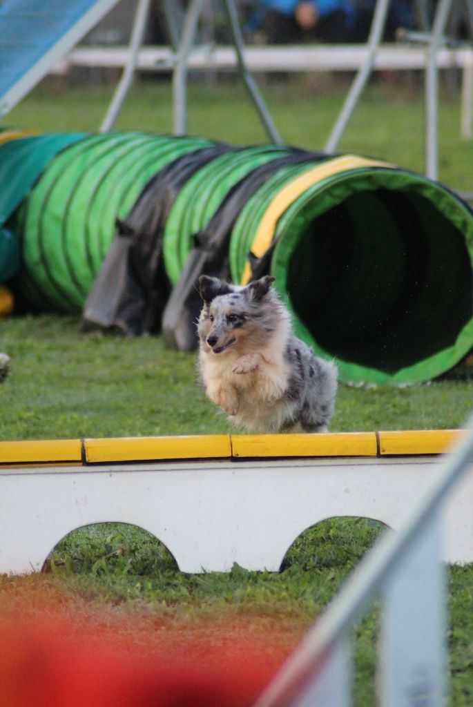 des Crocs de Provence - J'imagine qualifiée pour la Finale du Grand Prix de France