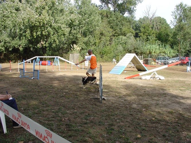 des Crocs de Provence - Concours d'agility de Fréjus