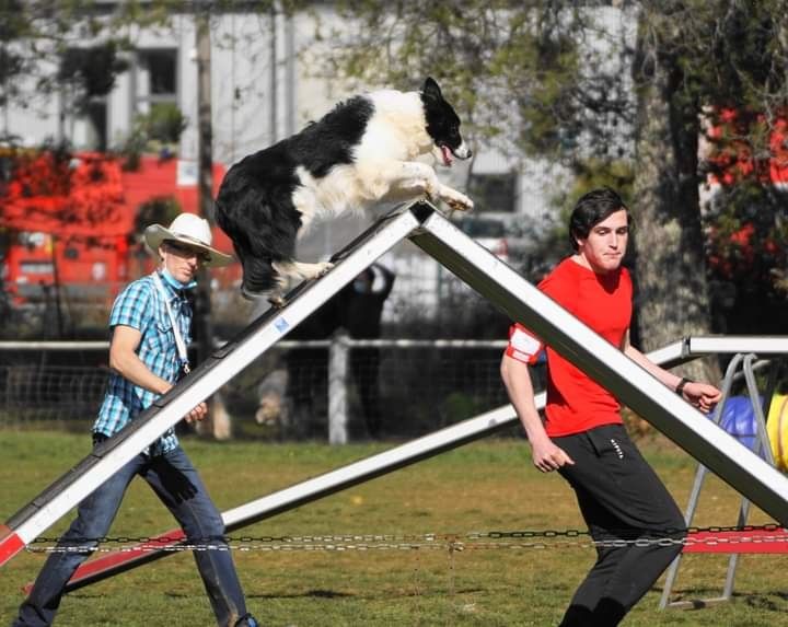 des Crocs de Provence - Concours d'agility des Cadéous