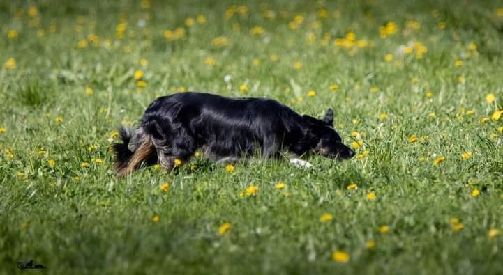 des Crocs de Provence - Des nouvelles d'Occitanie