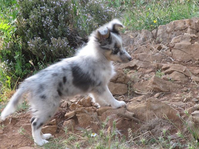 des Crocs de Provence - Une nouvelle vie pour Mystic