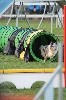  - Concours d'agility de Carcassonne