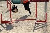  - Concours d'agility de Mouriès