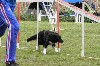  - On au concours d'agility de Cannes