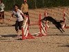  - Concours d'agility des Cadéous