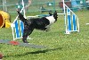  - Concours d'agility de Cabrières