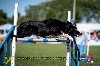  - On au Championnat de France d'agility