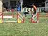  - Concours d'agility d'Istres