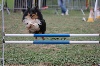  - Concours d'agility d'Aix en Provence