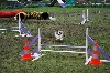  - Concours d'agility de Marignane