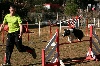  - Stage agility de Brignoles