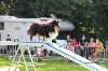  - Iakari au concours d'agility de Chambéry