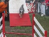  - Concours d'agility d'Aix Sport Canin