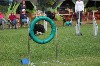  - Concours d'agility d'Orange Caderousse