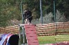  - Concours d'agility de Miramas