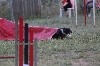  - Concours d'agility des Cadéous