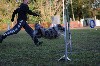  - Concours d'agility de Serrières en Chautagne