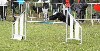  - Concours d'agility de Cannes