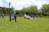  - Légolas au Concours d'agility d'Orange Caderousse