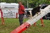  - Concours d'agility du Chaffaud