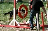  - Foxty en agility