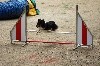  - Concours d'agility de Villeneuve Loubet