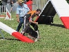  - Concours d'agility de Fos