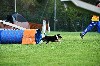  - Concours d'agility des Cadéous