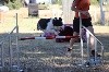  - Concours d'agility des Cadéous