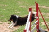  - CAESC et Passagility pour Islay