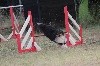  - Concours d'agility de Saint Férréol D'Aurure