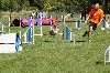  - Concours d'agility de Saint Martin de Crau