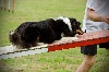  - Concours d'agility de Briançon