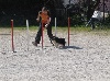  - Concours d'agility de Fréjus