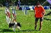  - Concours d'agility de Saint Martin de Crau